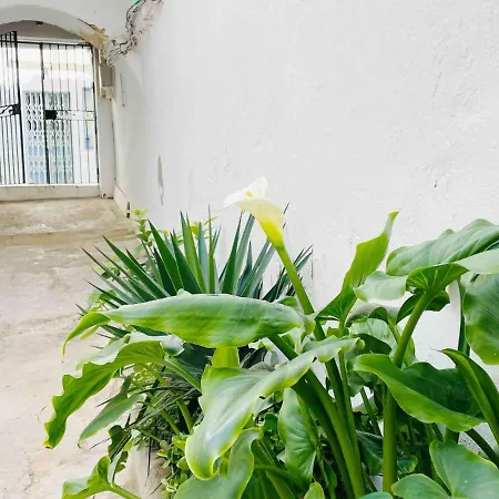Alazul Campillo Apartament Conil De La Frontera